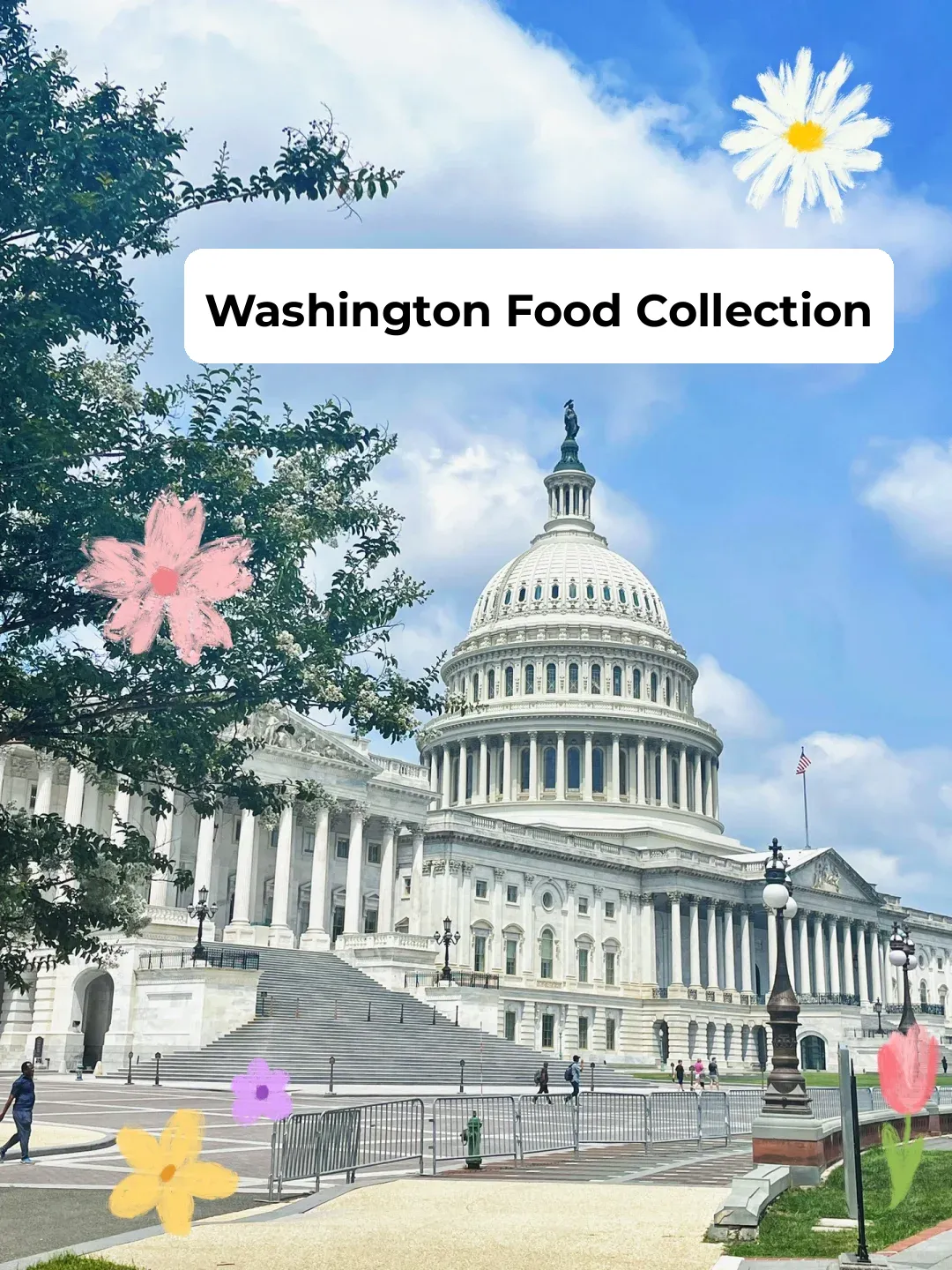 DC Food Guide: A Culinary Journey Through the Capital 🥘+🍝