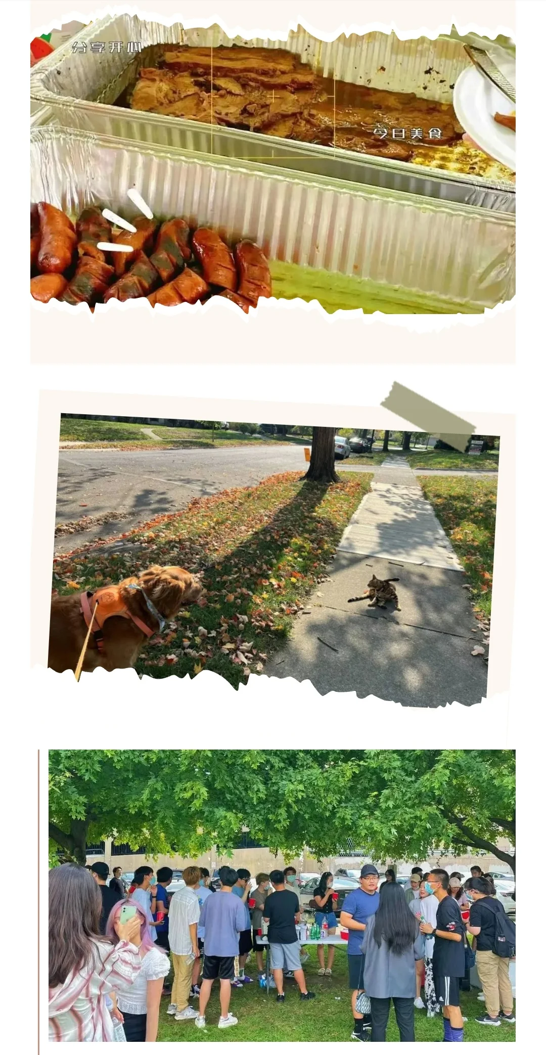 OSU Autumn BBQ Party: October 19th at 2 PM