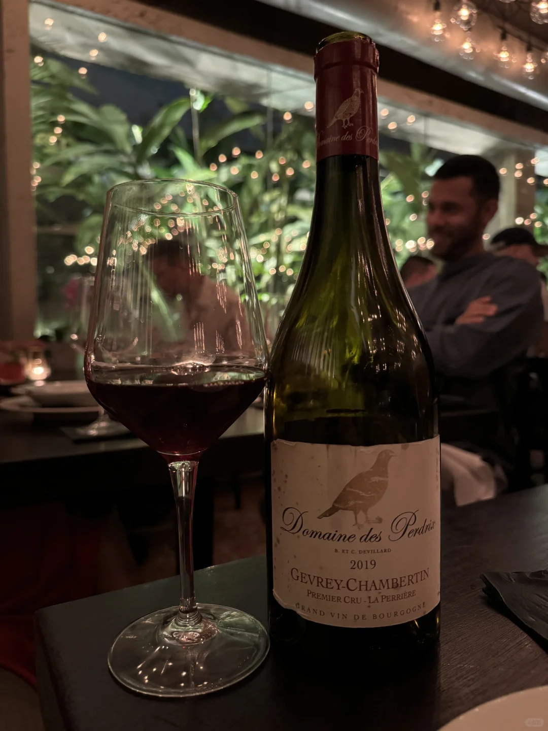 A Lone Cactus in the San Juan Desert 🌵 Santaella