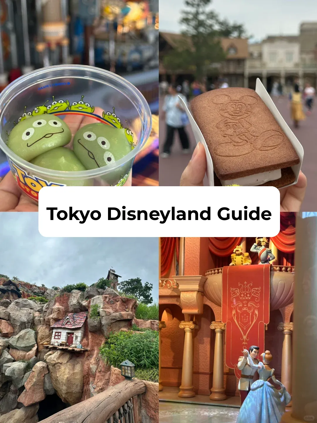 Don't Go to Tokyo Disneyland Without a Guide