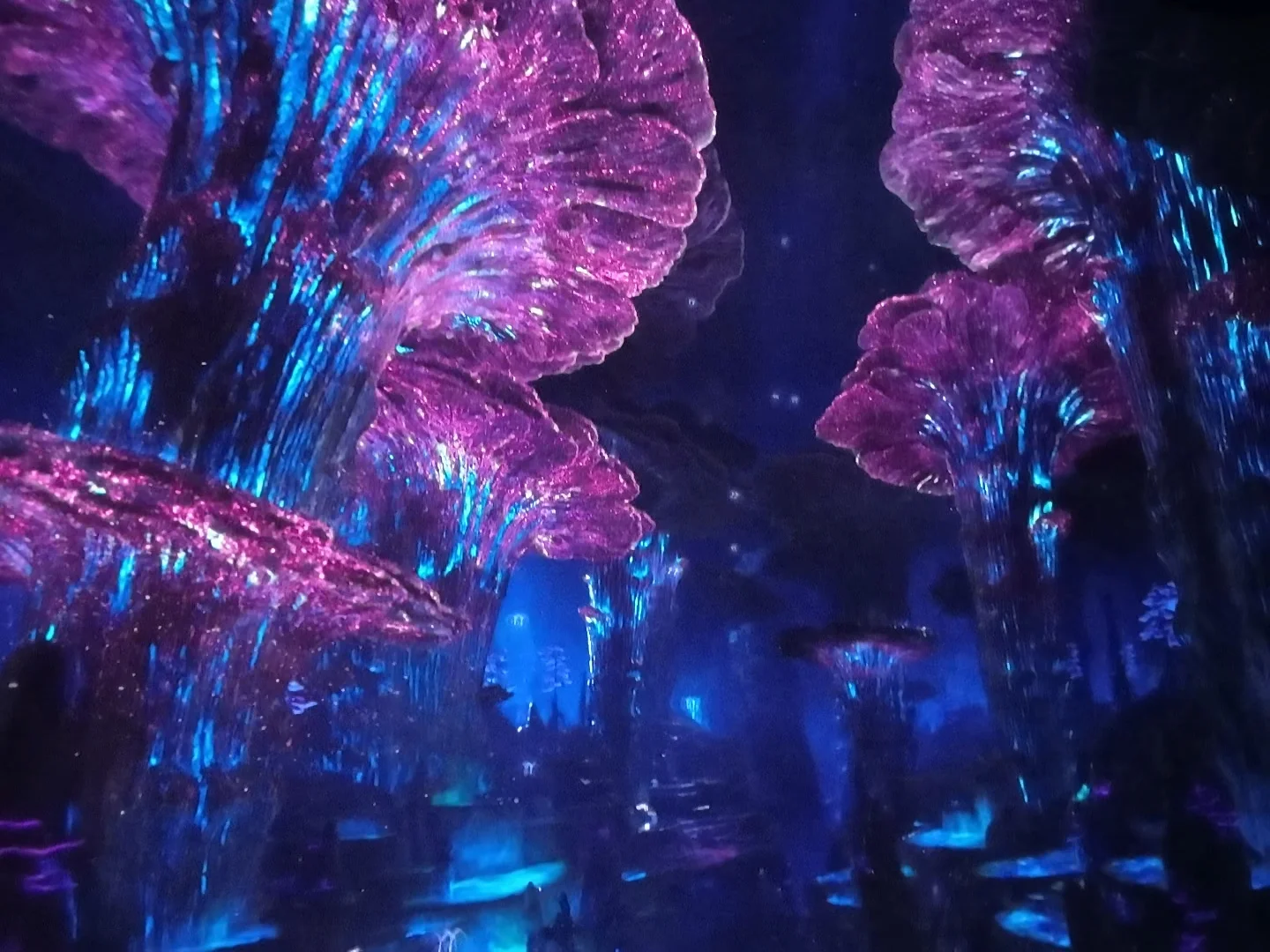 First-Person Experience of Pandora – The World of Avatar at Disney's Animal Kingdom in Orlando!