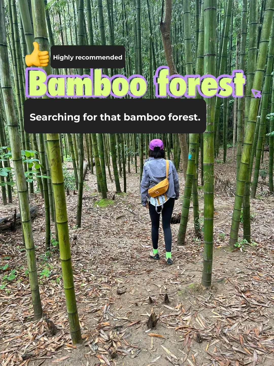 📍Atlanta, Bamboo Forest