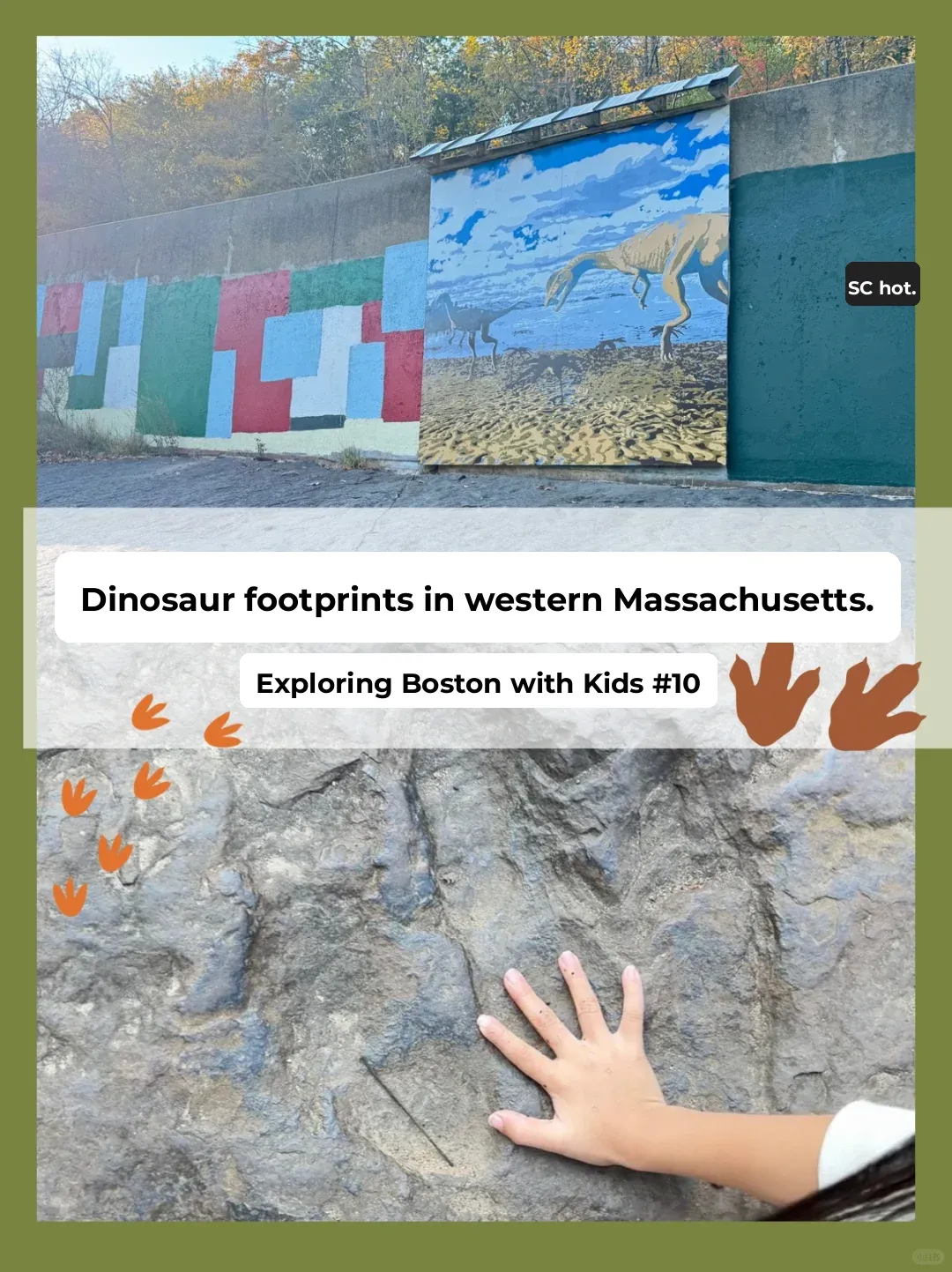 Dinosaur Footprint Fossils in Western Massachusetts—Dino Fans, This One’s for You! 🦖