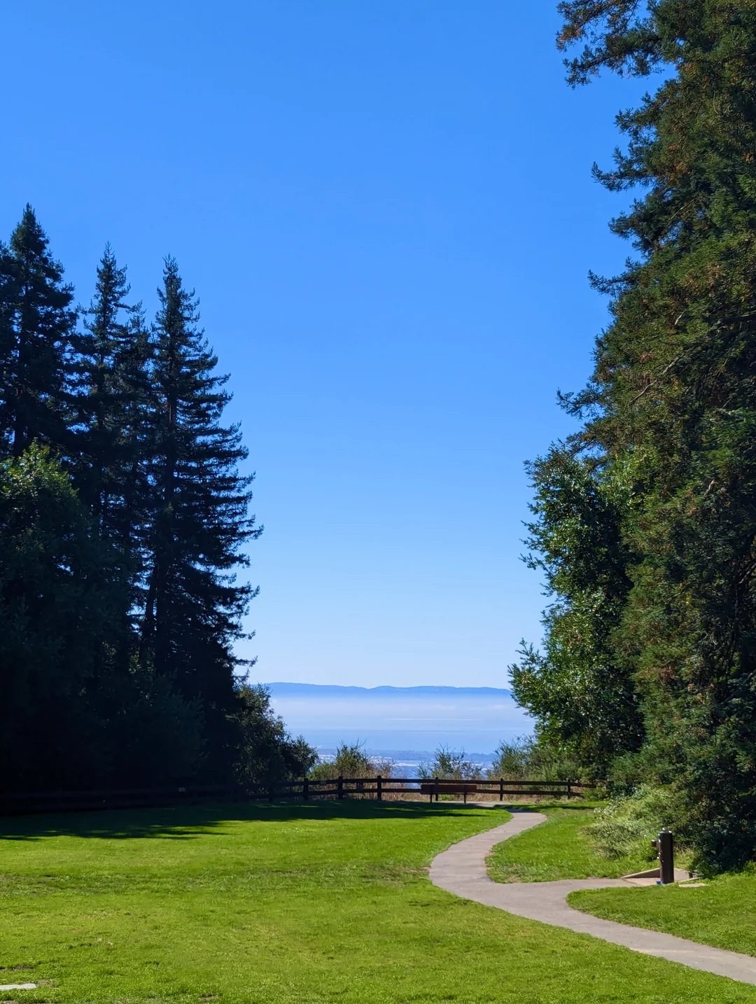 Bay Area Picnic Spots for the Weekend