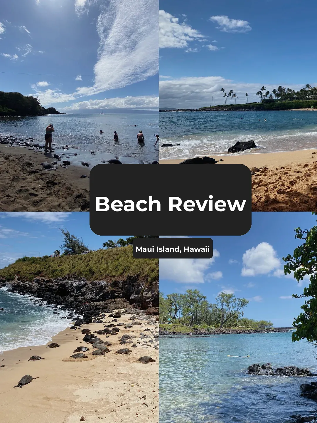 Hawaii's Maui Island | 8 Best Beaches Reviewed: Which One is Ideal for Snorkeling?