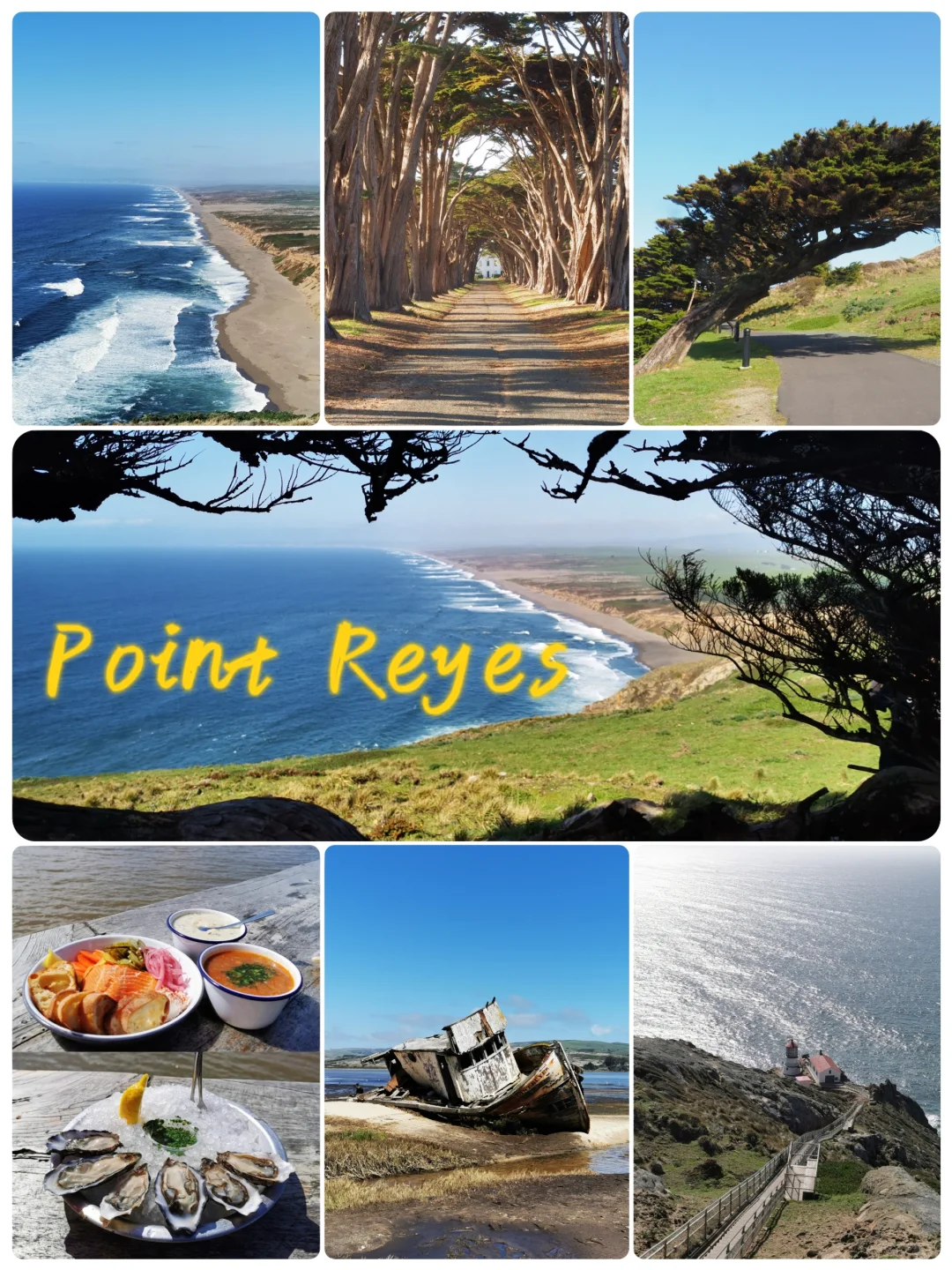 Bay Area's Little Scotland 🌊 Point Reyes Hiking Guide