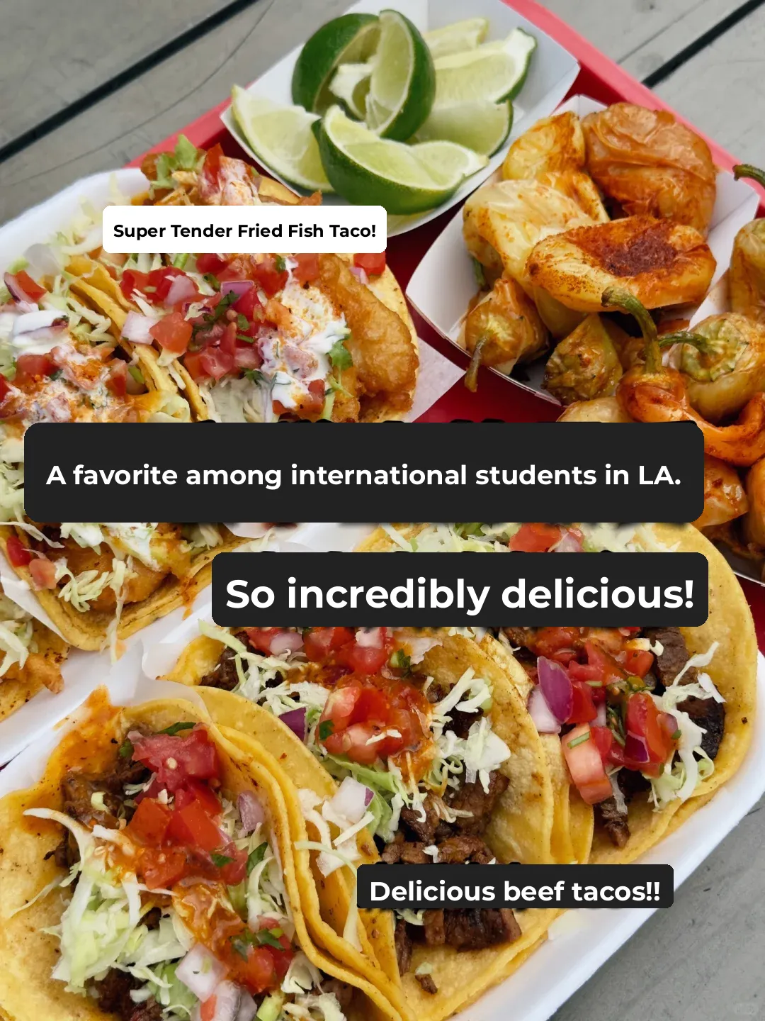 This Taco Spot Is a Must-Try! 🌮 You'll Regret It If You Don't! 💯