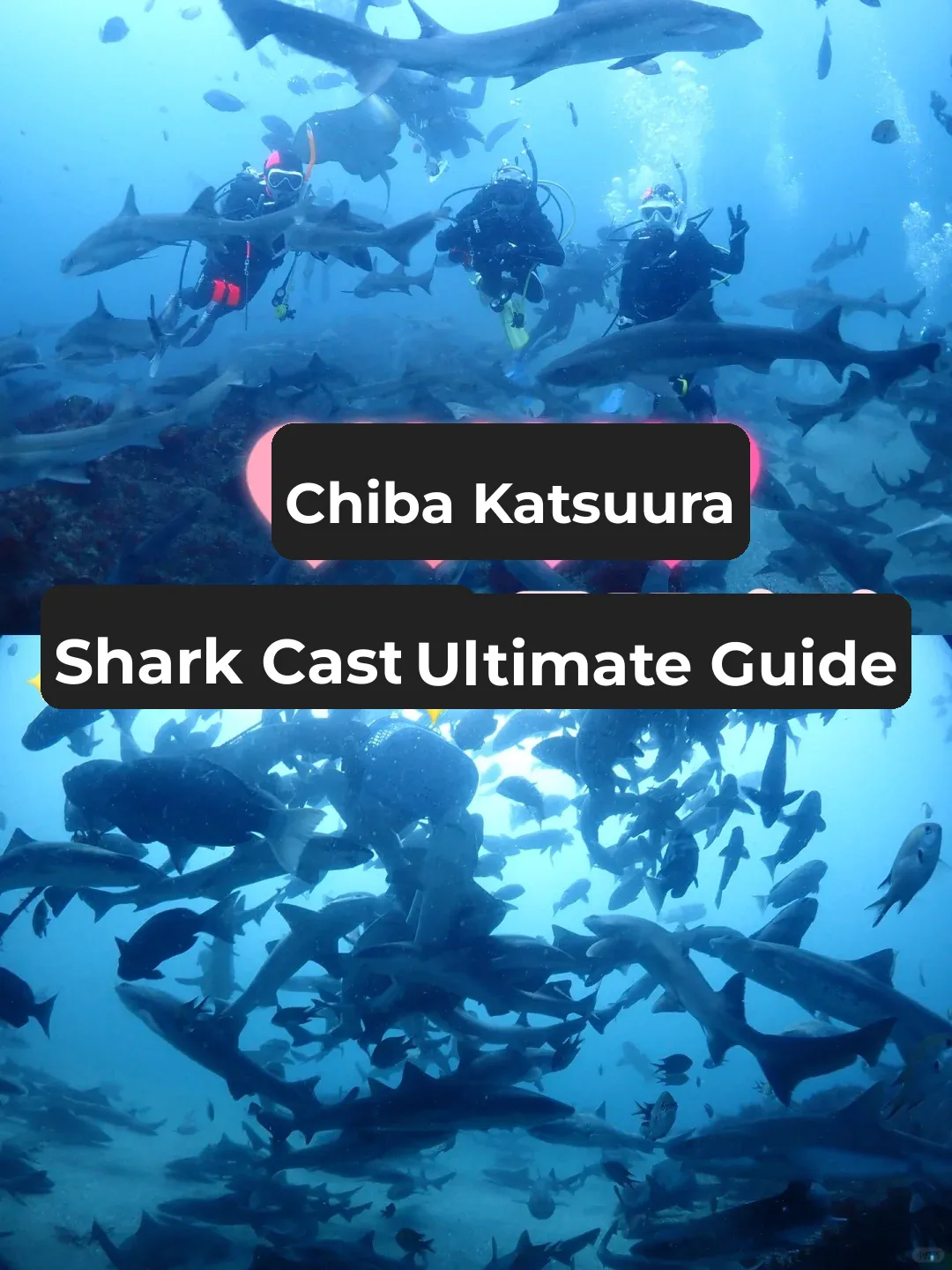 🇯🇵 Diving in Chiba • Tateyama 🤿 Shark Castle 🏰 Underwater Shrine ⛩