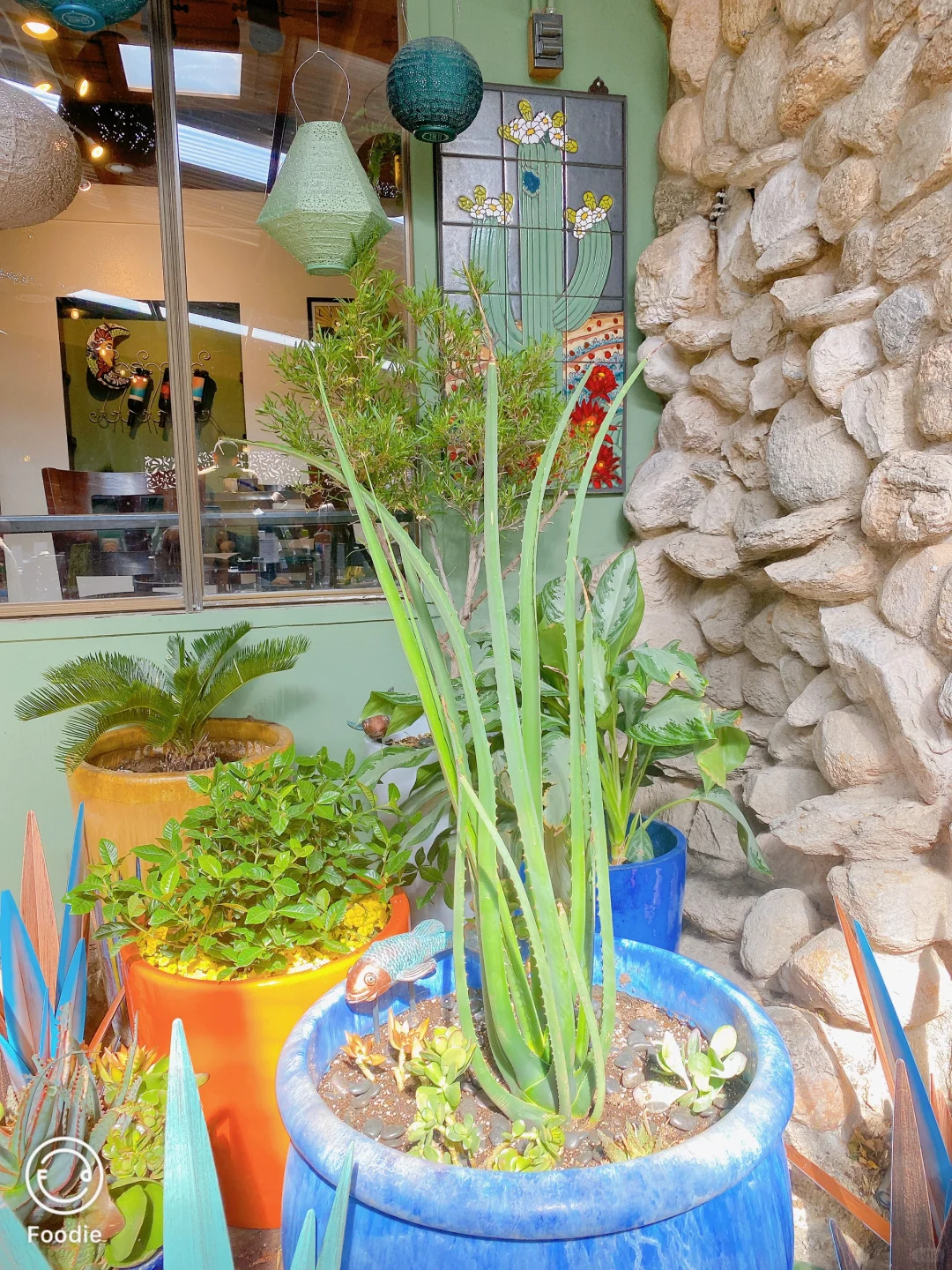 Tucson Food Exploration 1️⃣7️⃣: Tucson Brunch Spots