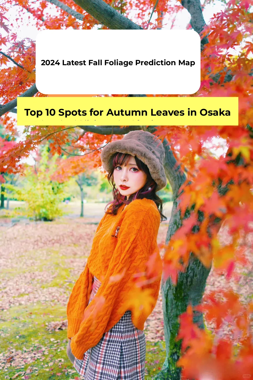 Top 10 Places to See Fall Foliage in Osaka (With Predicted Fall Colors Map)
