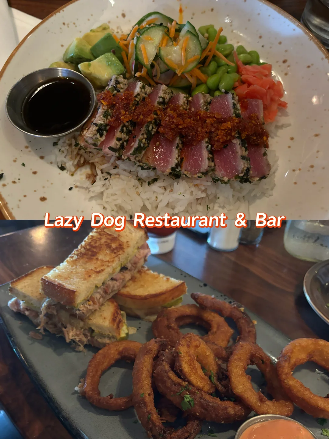 "Exploring the Best Eateries in Chicago's North Suburbs"