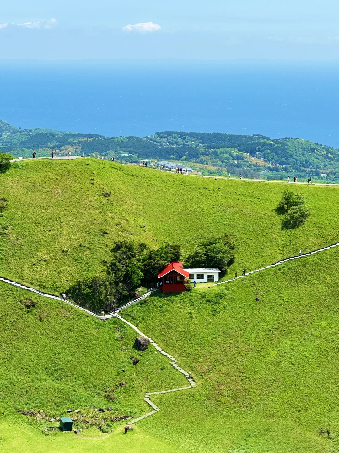 Izu Day Trip Itinerary 🌊 Mount Omuro + Jogasaki Coast