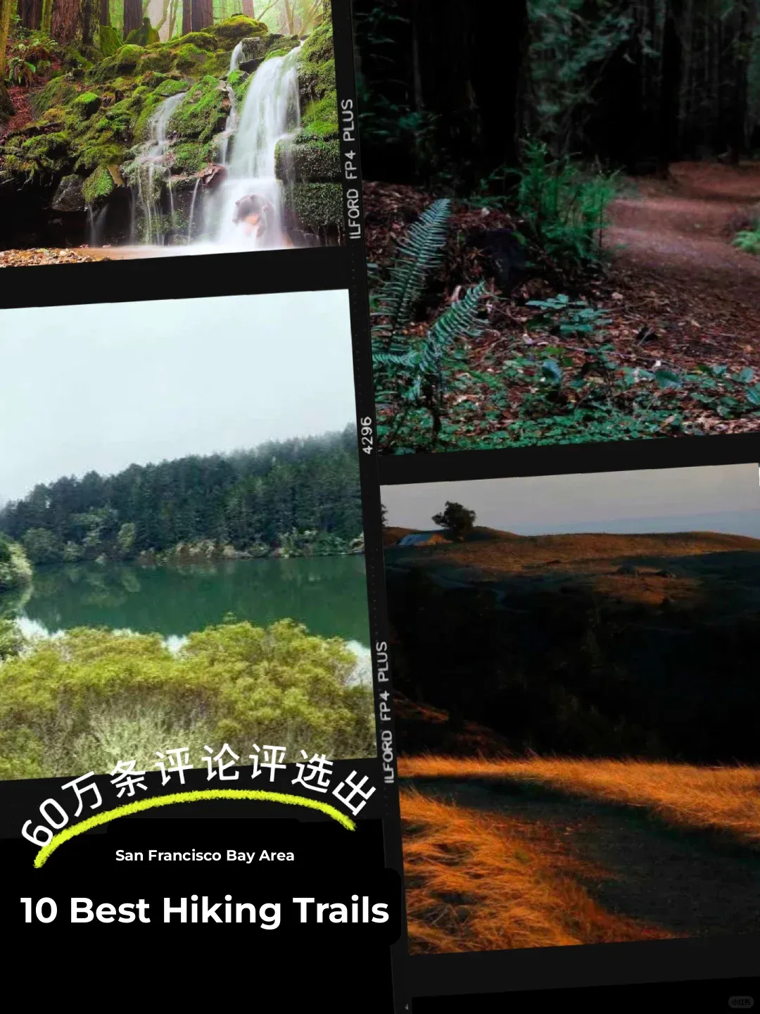 "Top 10 Best Hiking Trails in the San Francisco Bay Area"