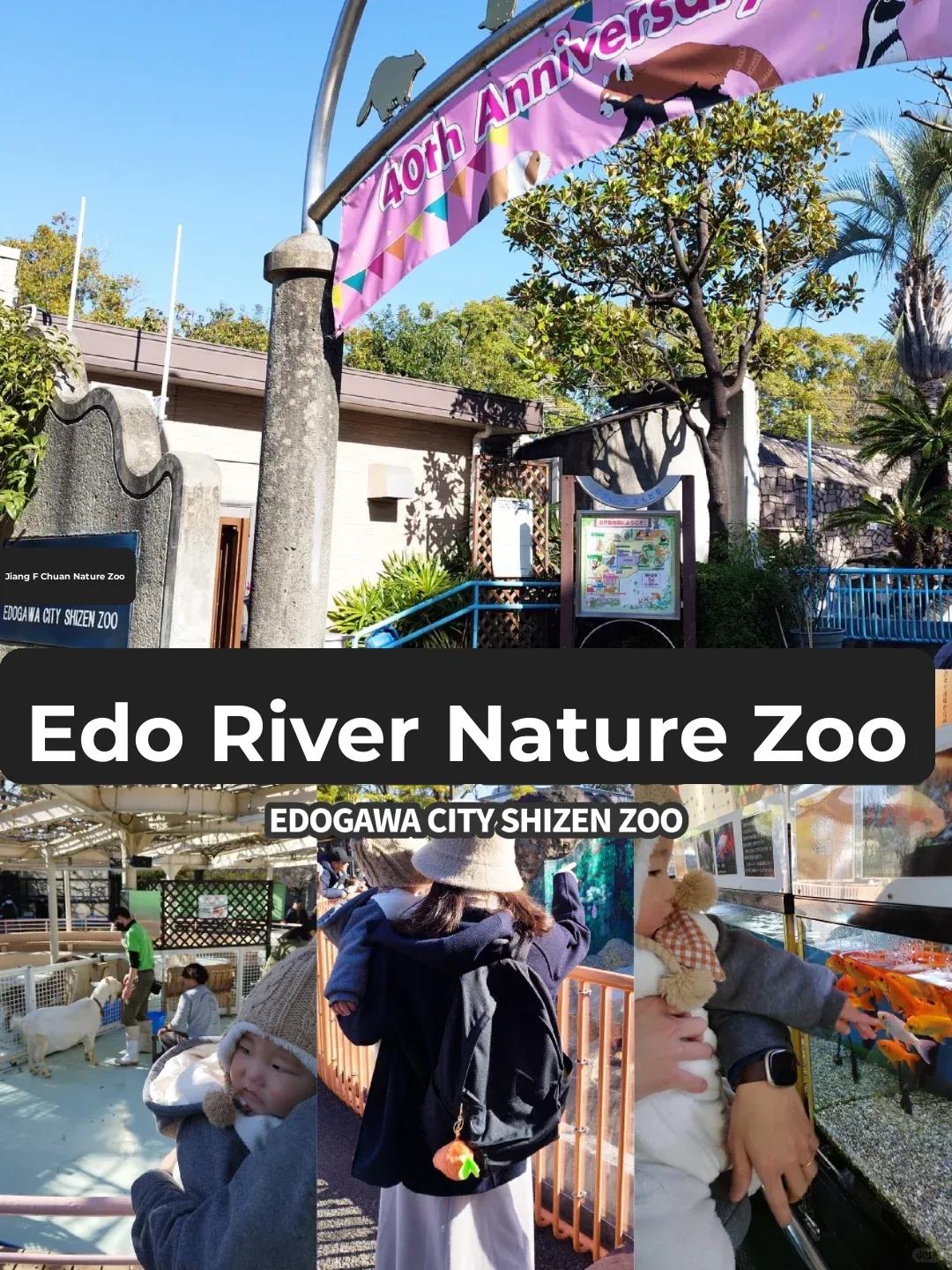 Free Admission to Edogawa City Natural Zoo