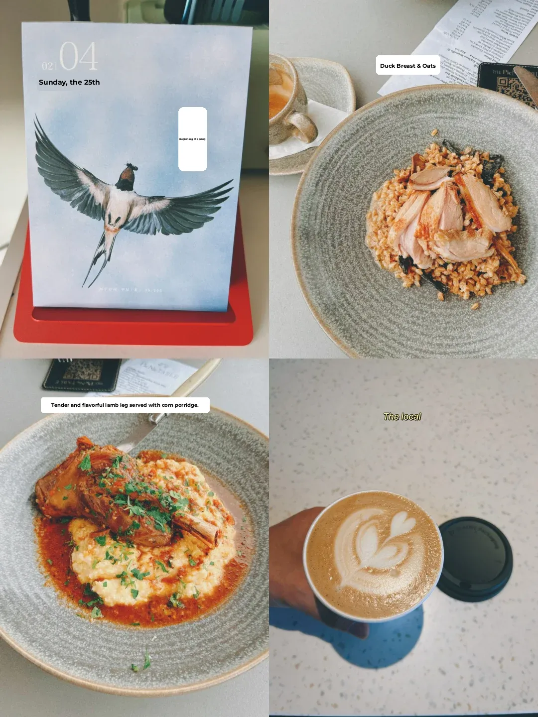 📸 Plog | Spring Begins, Earth, Nature, and a Hidden Farm-to-Table Gem