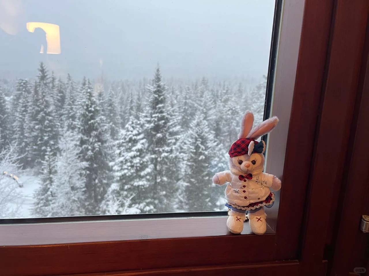 November Alaska Free & Easy Travel Guide