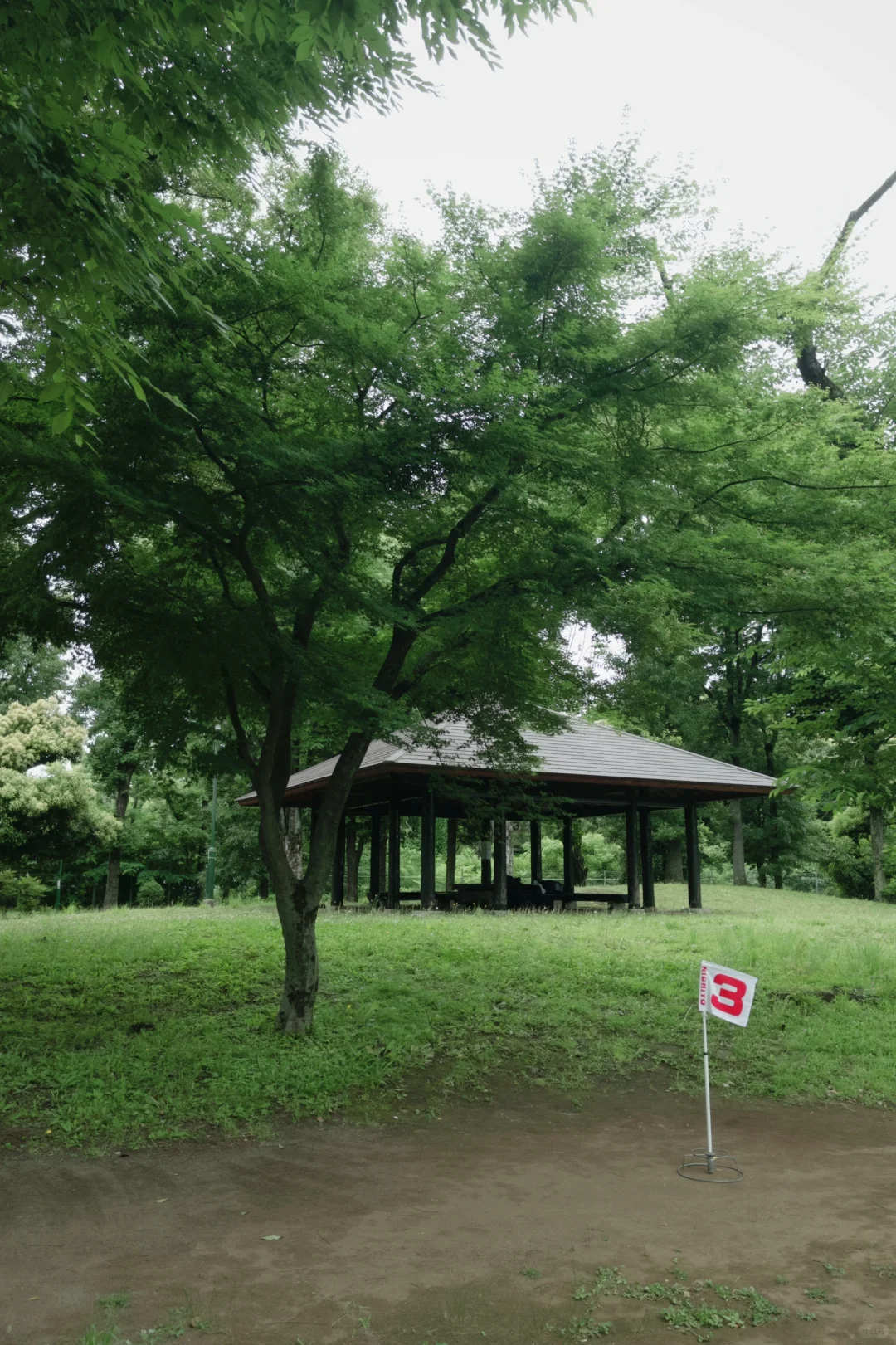photo-2