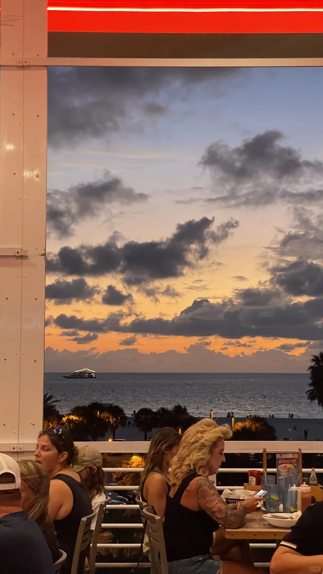 🐬 Tampa Thanksgiving Two-Day Itinerary Without Renting a Car | Tampa