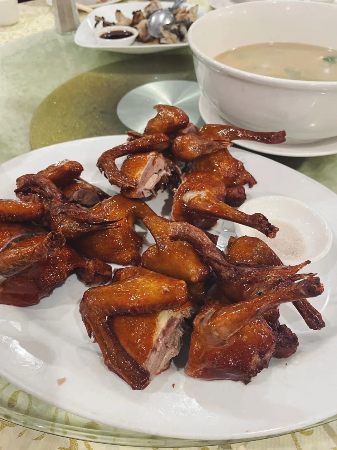 SF｜Top Pigeon in My Bay Area List