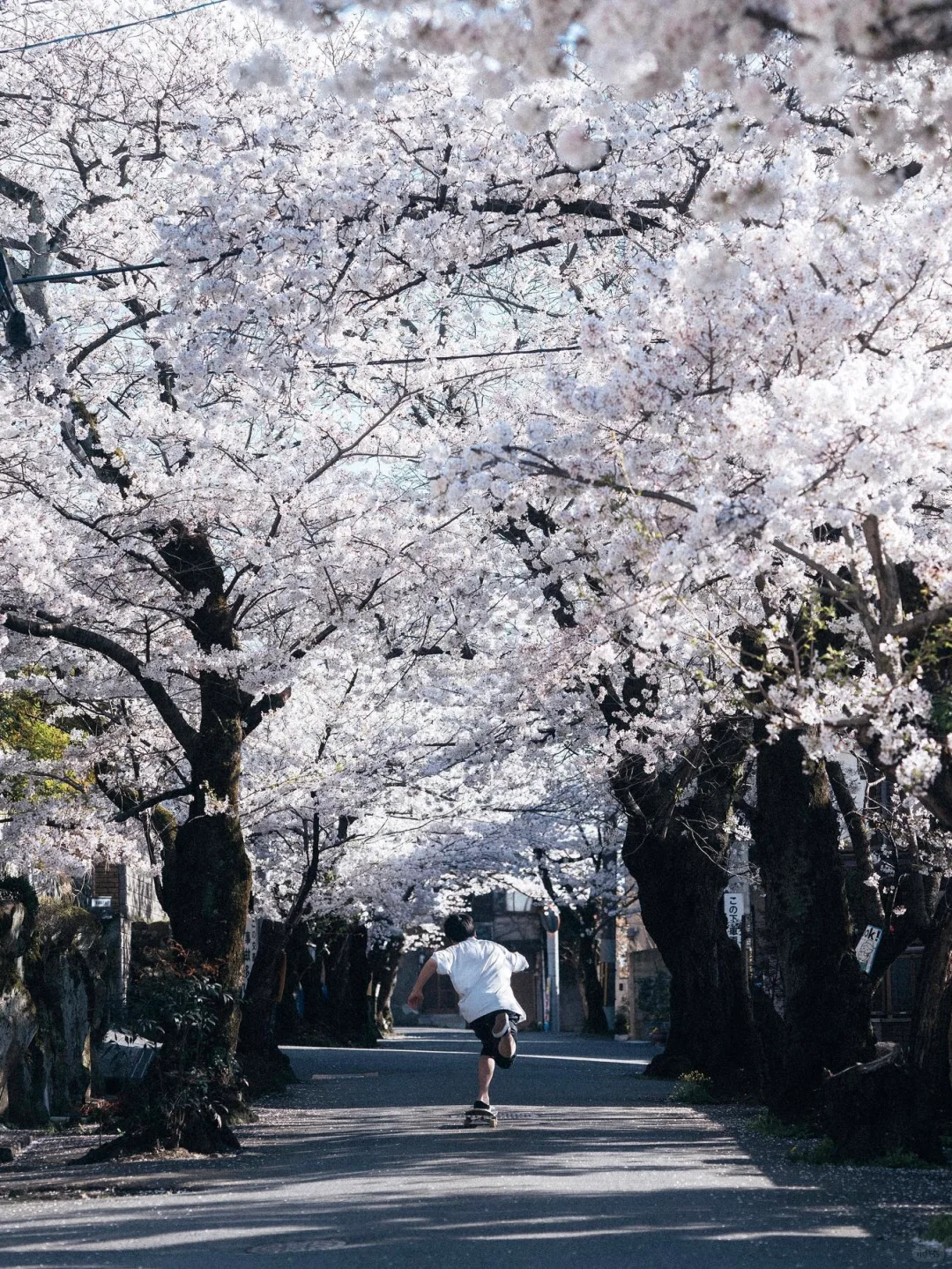 The Harsh Truth: This Is Osaka's Travel Reality in 2024