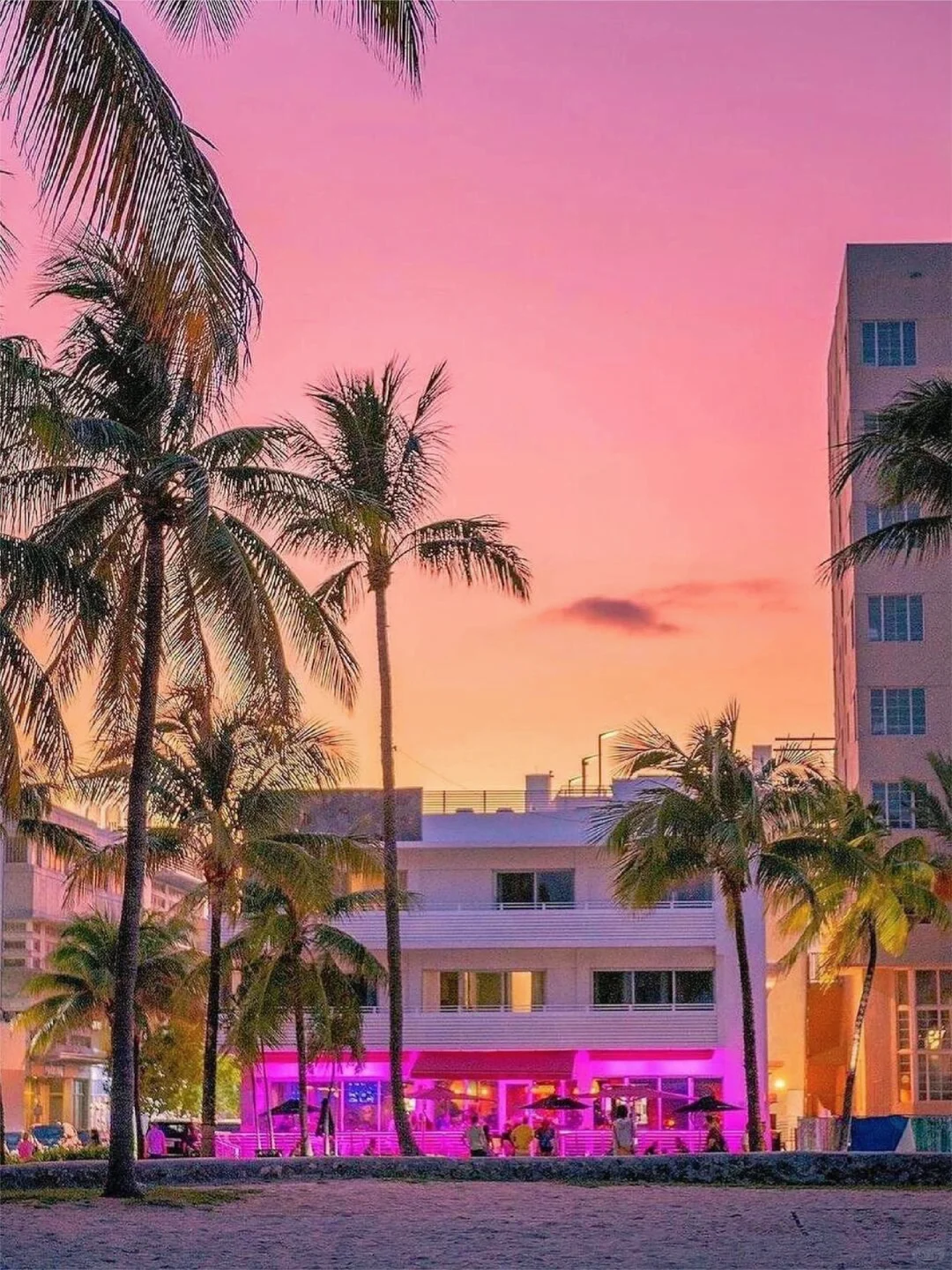 Sharing a Few Hotels in Miami That I Absolutely Love
