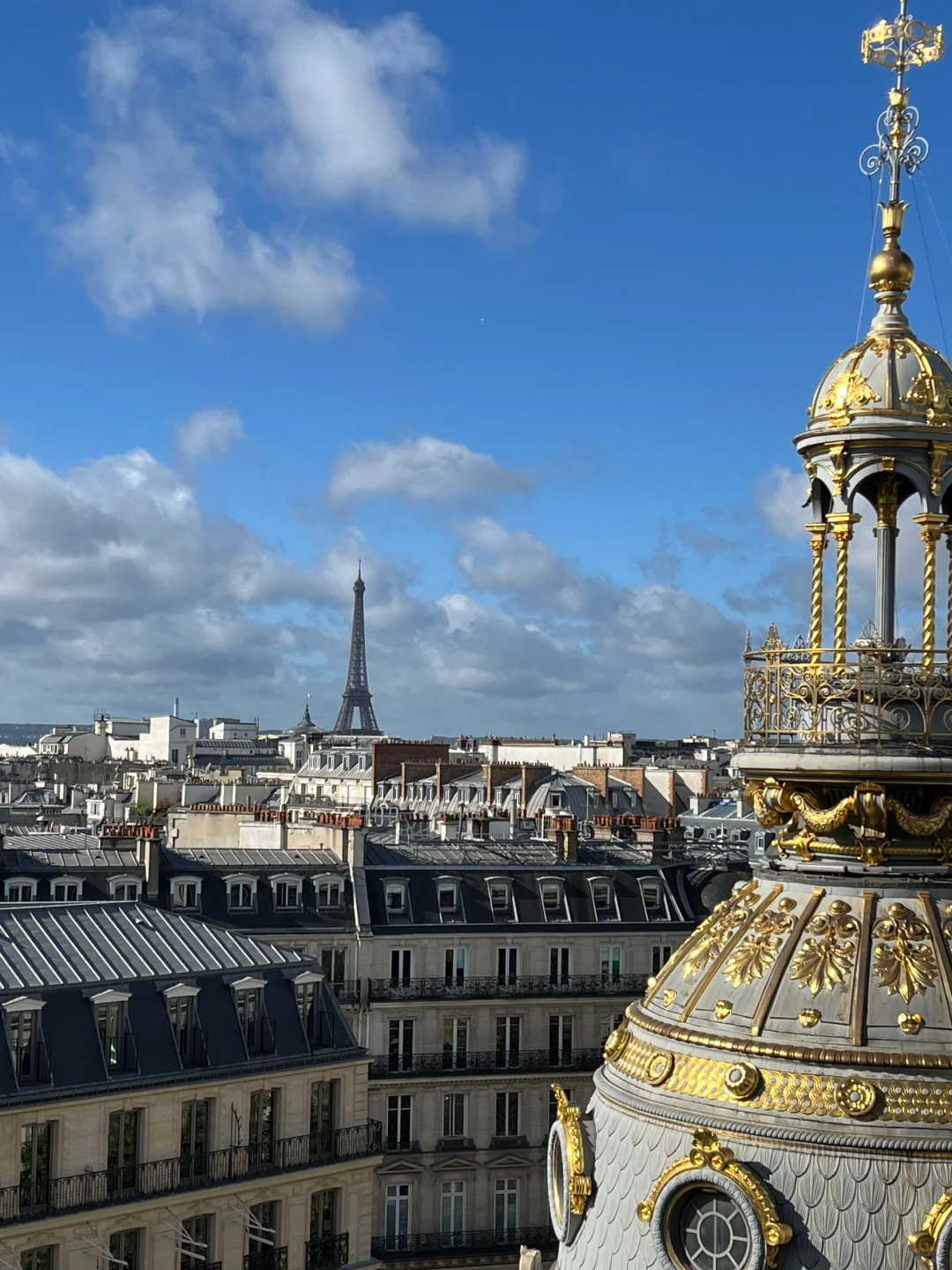 Paris Bans Influencer Hotspots! Authentic Shopping and Dining Reviews!