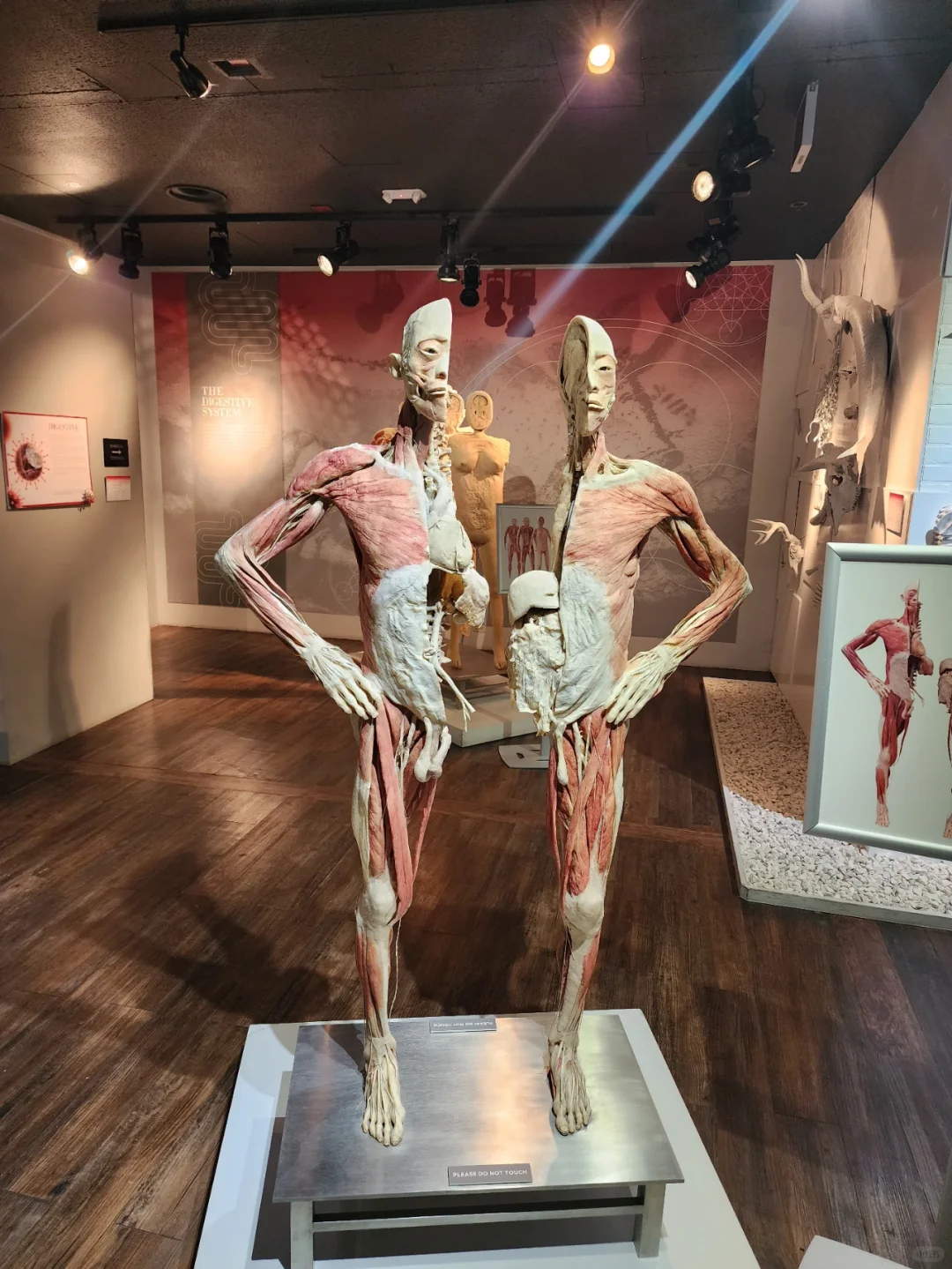 Las Vegas Hidden Gem Indoor Exhibits Guide – Complete Edition (Part 2)