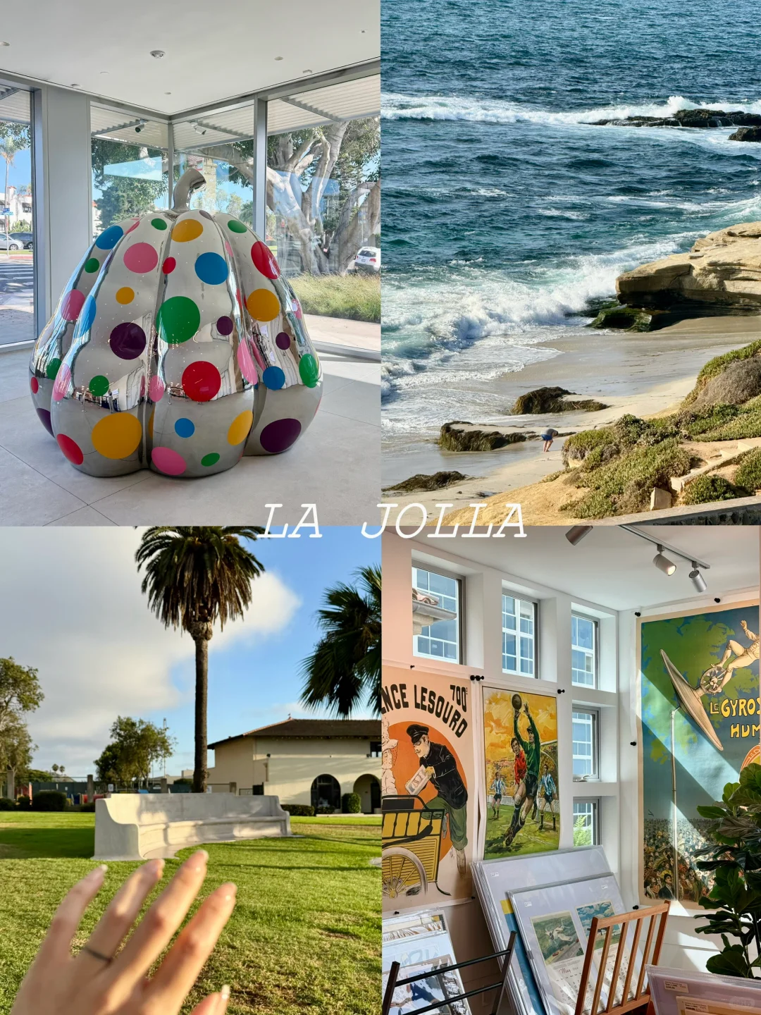 San Diego | The Most Underrated Hidden Gem Galleries You Should Visit