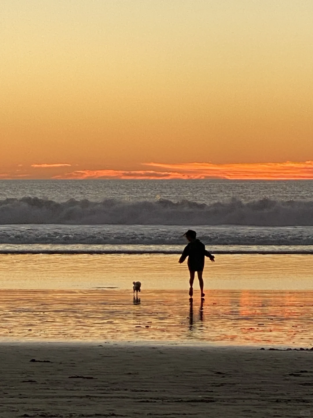 Where to Go for Team Building in the Bay Area