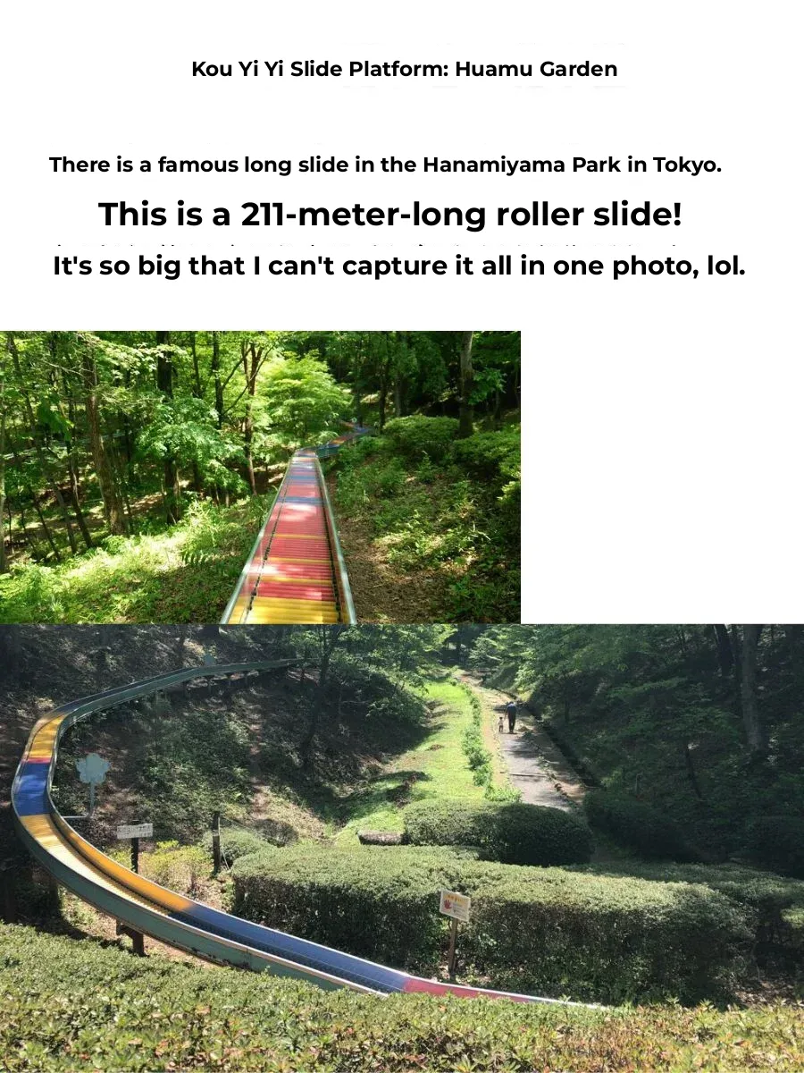 Sliding Down Slides in Japan Can Be Quite the Adventure ~ Finalists Ranking
