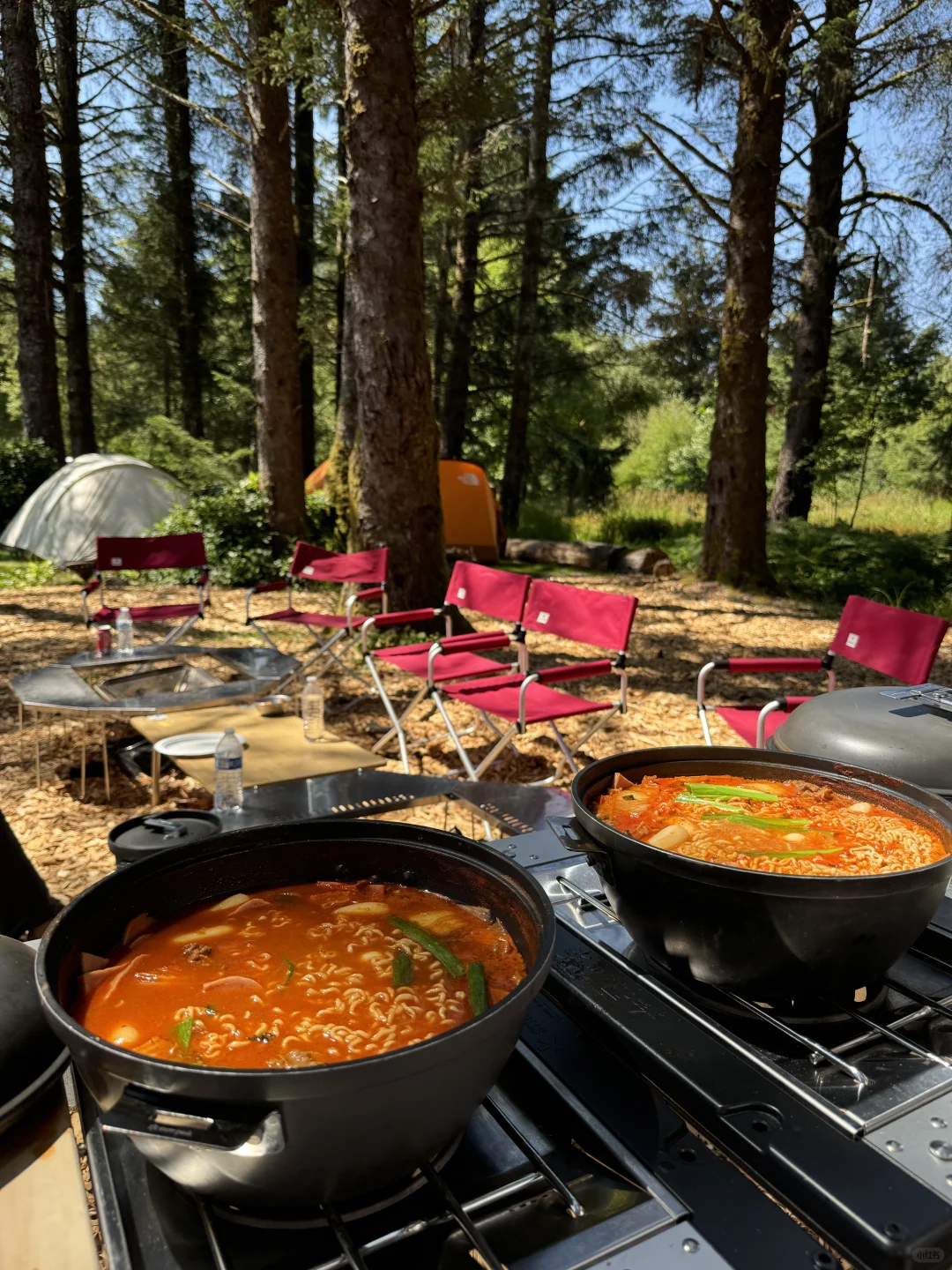 Who Knew Camping Could Be Addictive? 😆