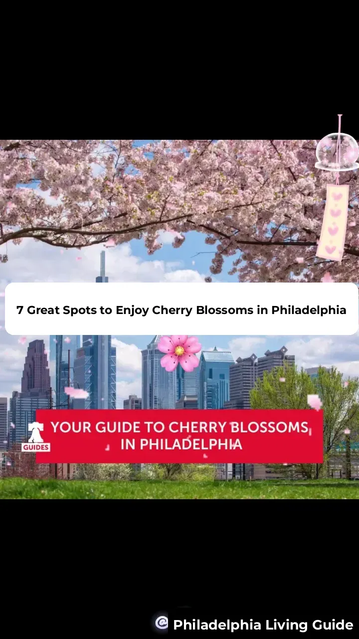 Good morning, Philadelphia! Here are 7 great spots to enjoy cherry blossoms.