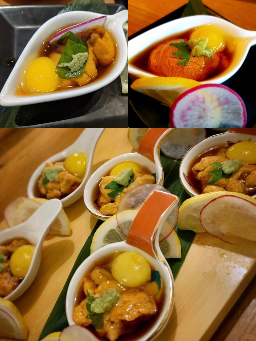 Wow! Seattle's Best Uni ✨ Oysters ✨ Curry Udon, Yasss!