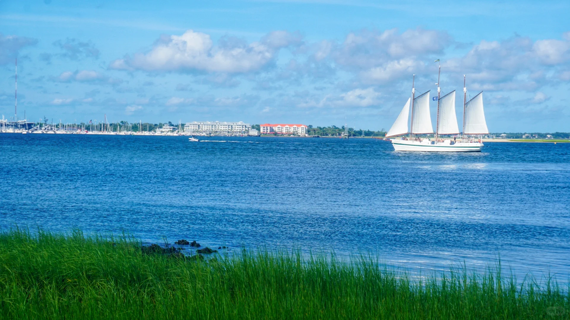 America's Most Charming City | 3-Day, 2-Night Charleston Travel Guide!!