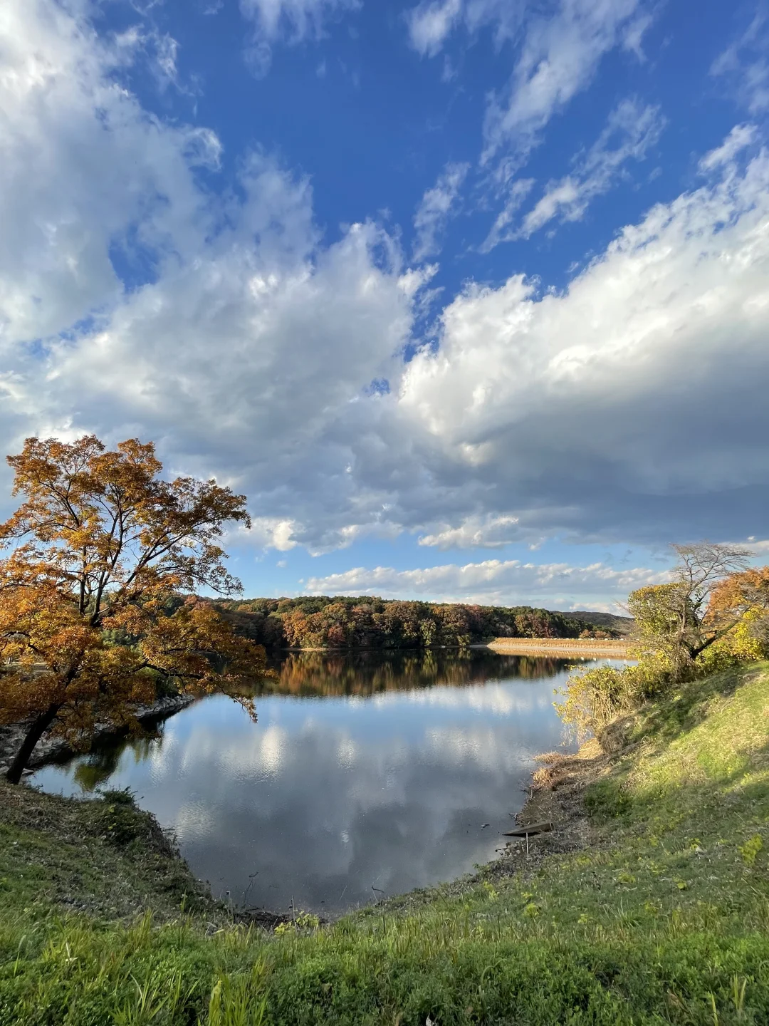 🇯🇵｜Not Scandinavia🍁 Just an Hour from Ikebukuro by Train🚃