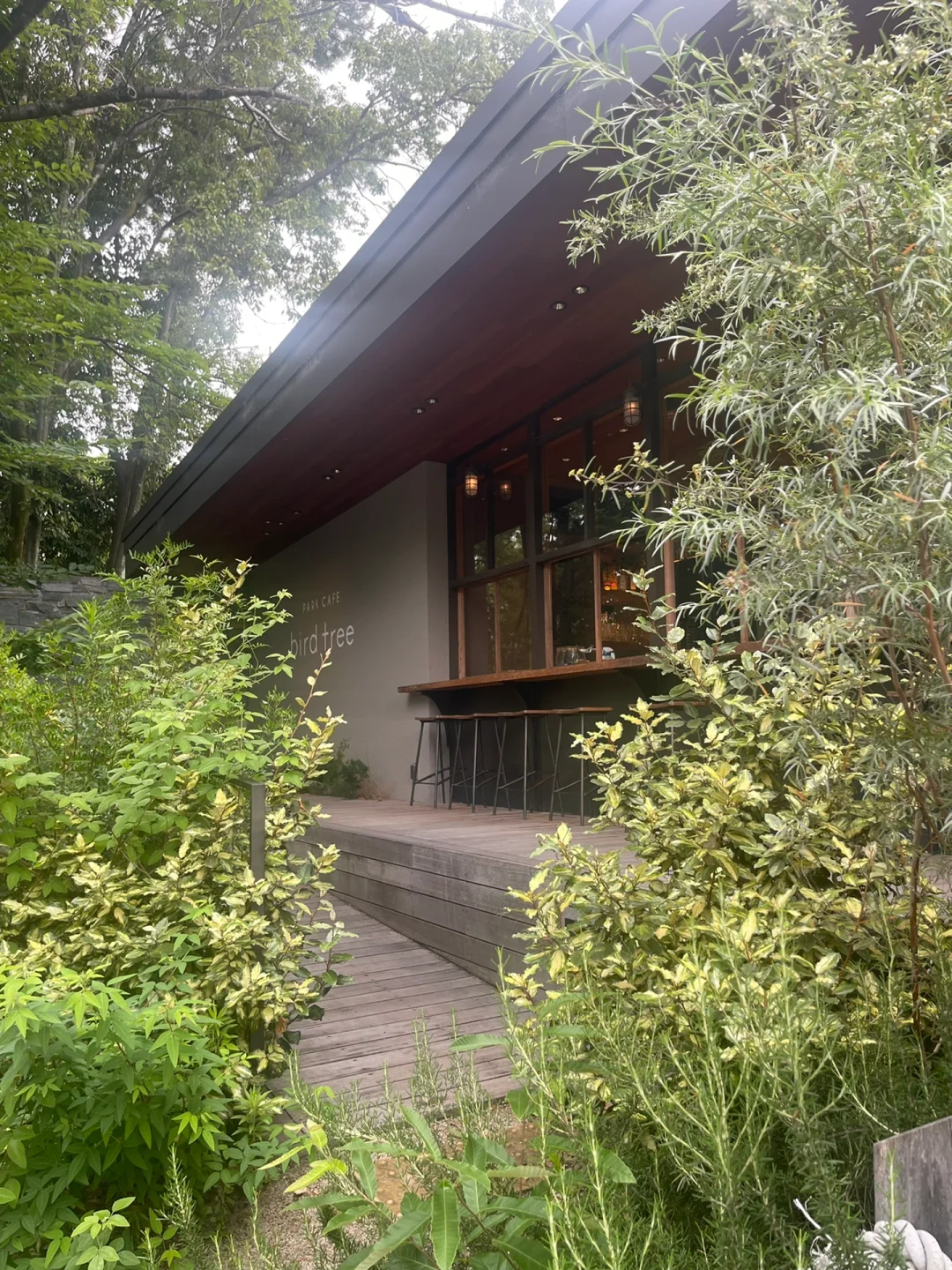 A Restaurant Hidden in Osaka's Park - Ultimate Ambiance