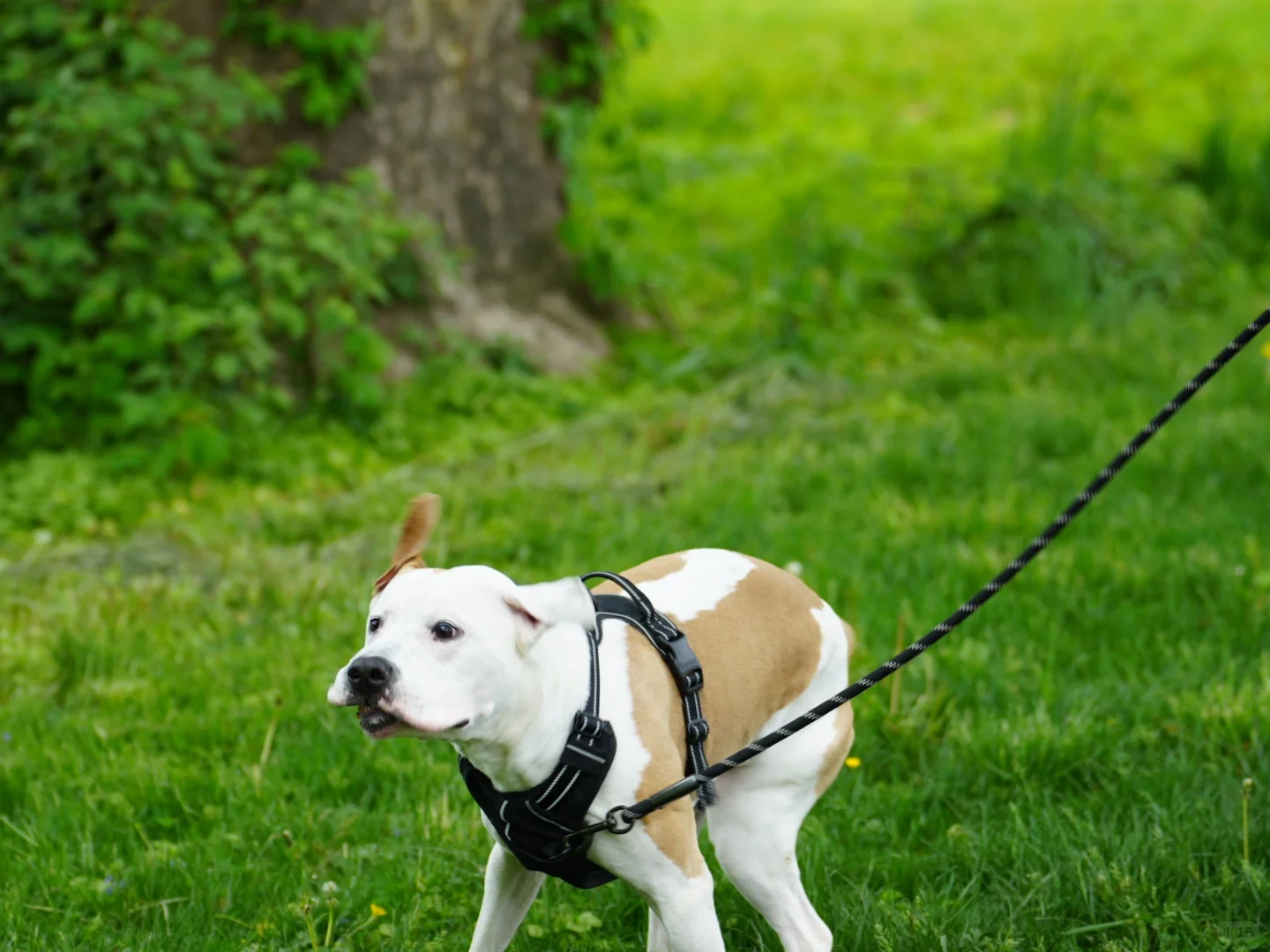 Hiking Near Philadelphia 💚 Valley Forge Park