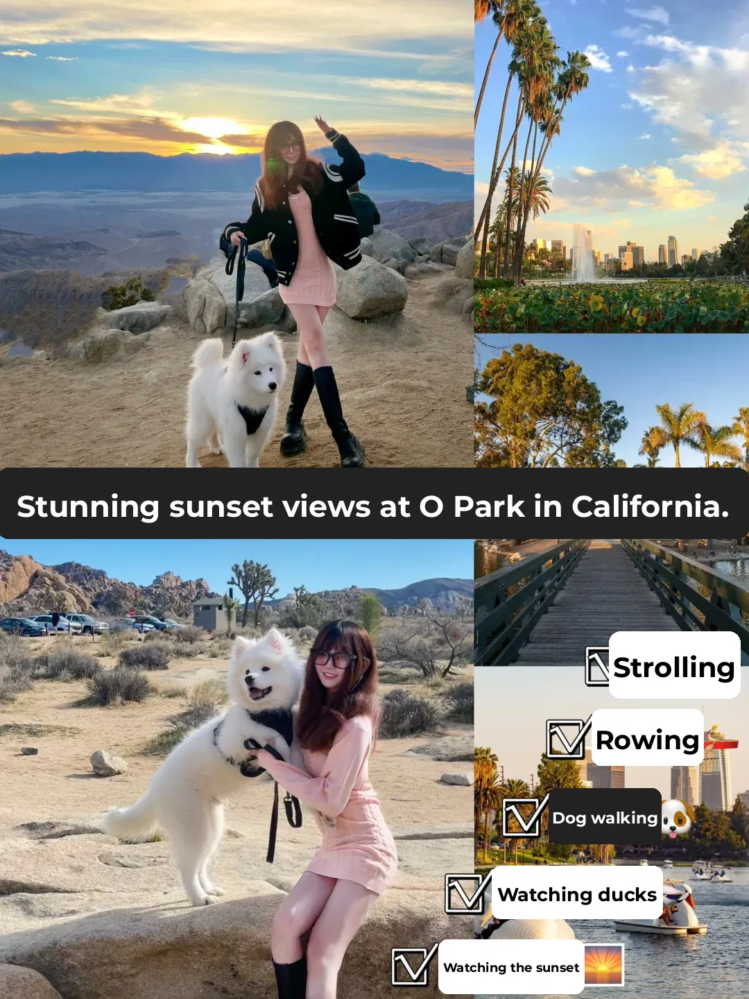 California | LA's Ultimate Guide to Stunning Scenic Views 🌄 and Dog-Friendly Parks 🐶🏞️