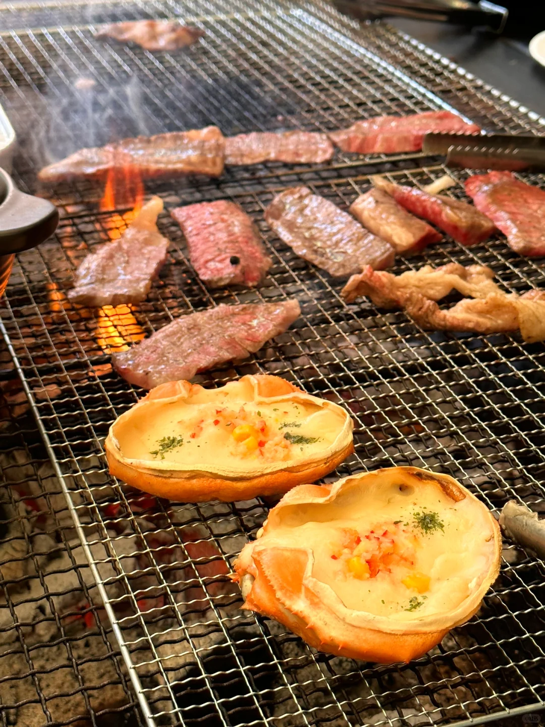 This Summer! Grilling with Besties is Absolutely Lit!