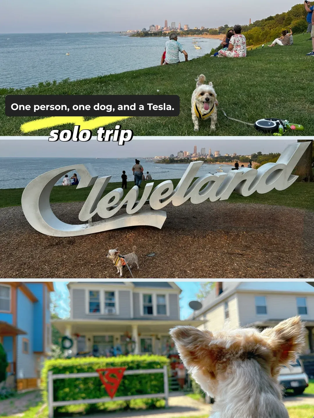 Solo Road Trip with My Dog in a Tesla 🚙 Cleveland 1️⃣