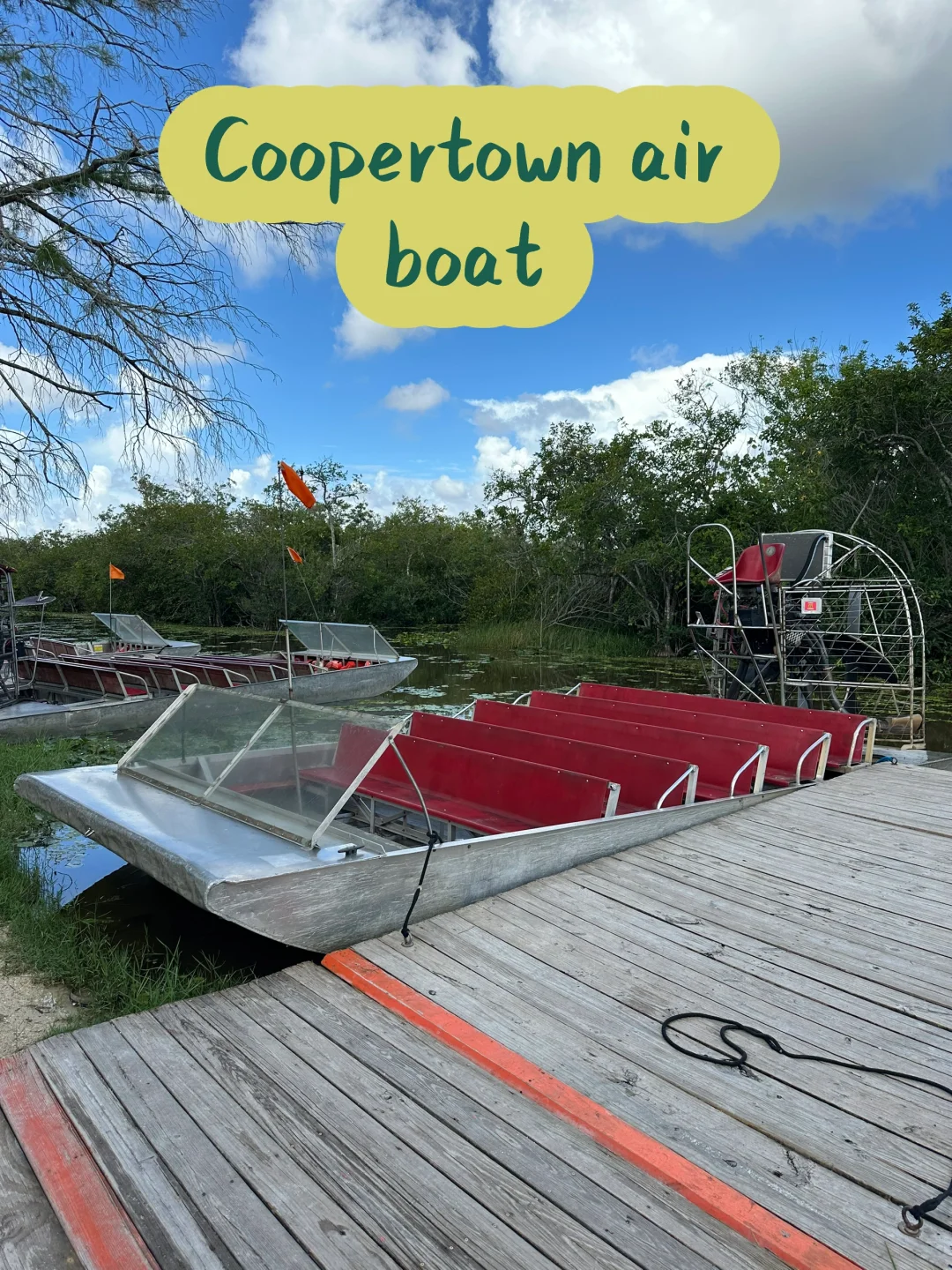 Miami | Ultimate Everglades National Park Guide! Just Copy and Go 😜