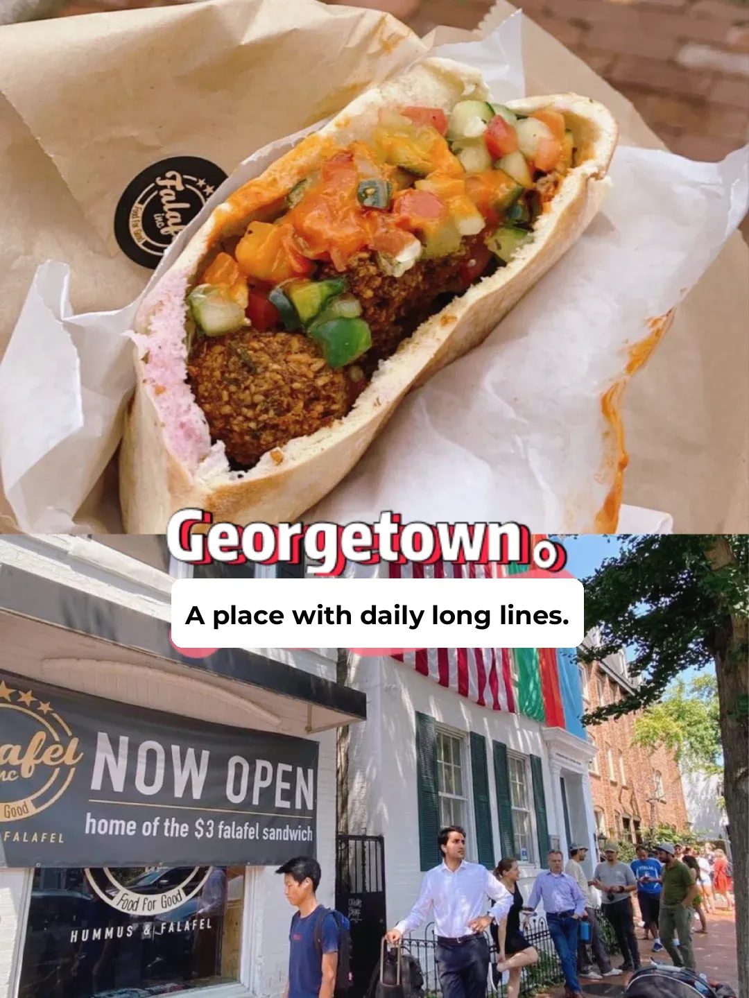 **DC Georgetown | The Hottest Falafel Sandwich (Only $3!)**