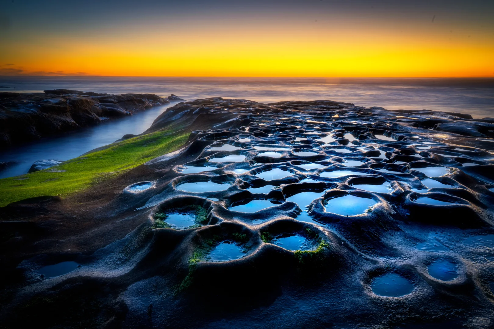 San Diego's Hidden Tide Pools