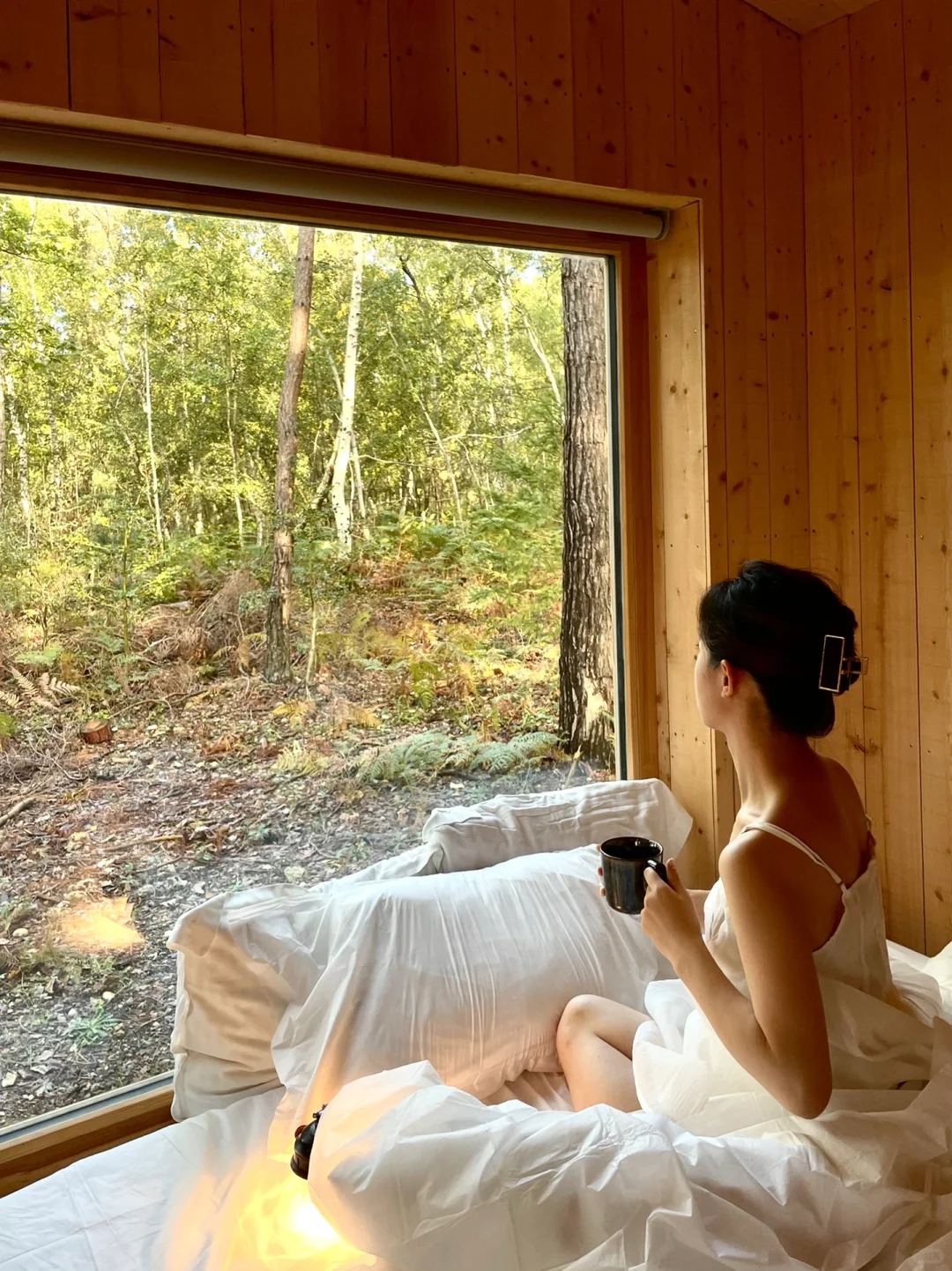 🍂 Weekend Escape to Paris 📍 Youza Forest Oxygen Cabin