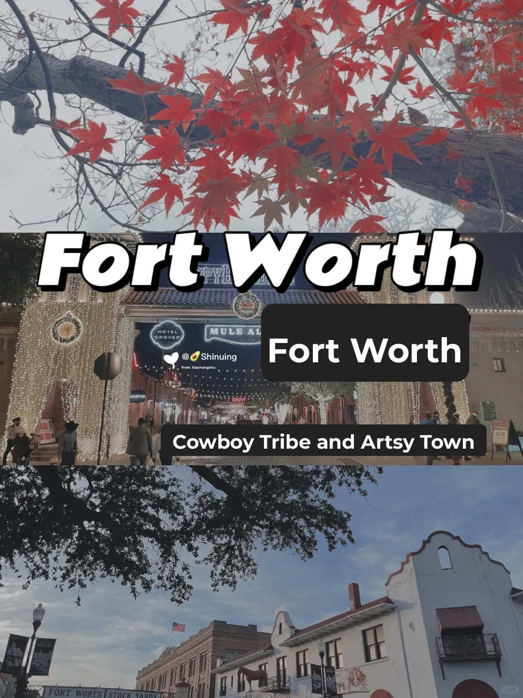 Traveling in Texas, USA | Fort Worth | 🤠 Warmth and Romance