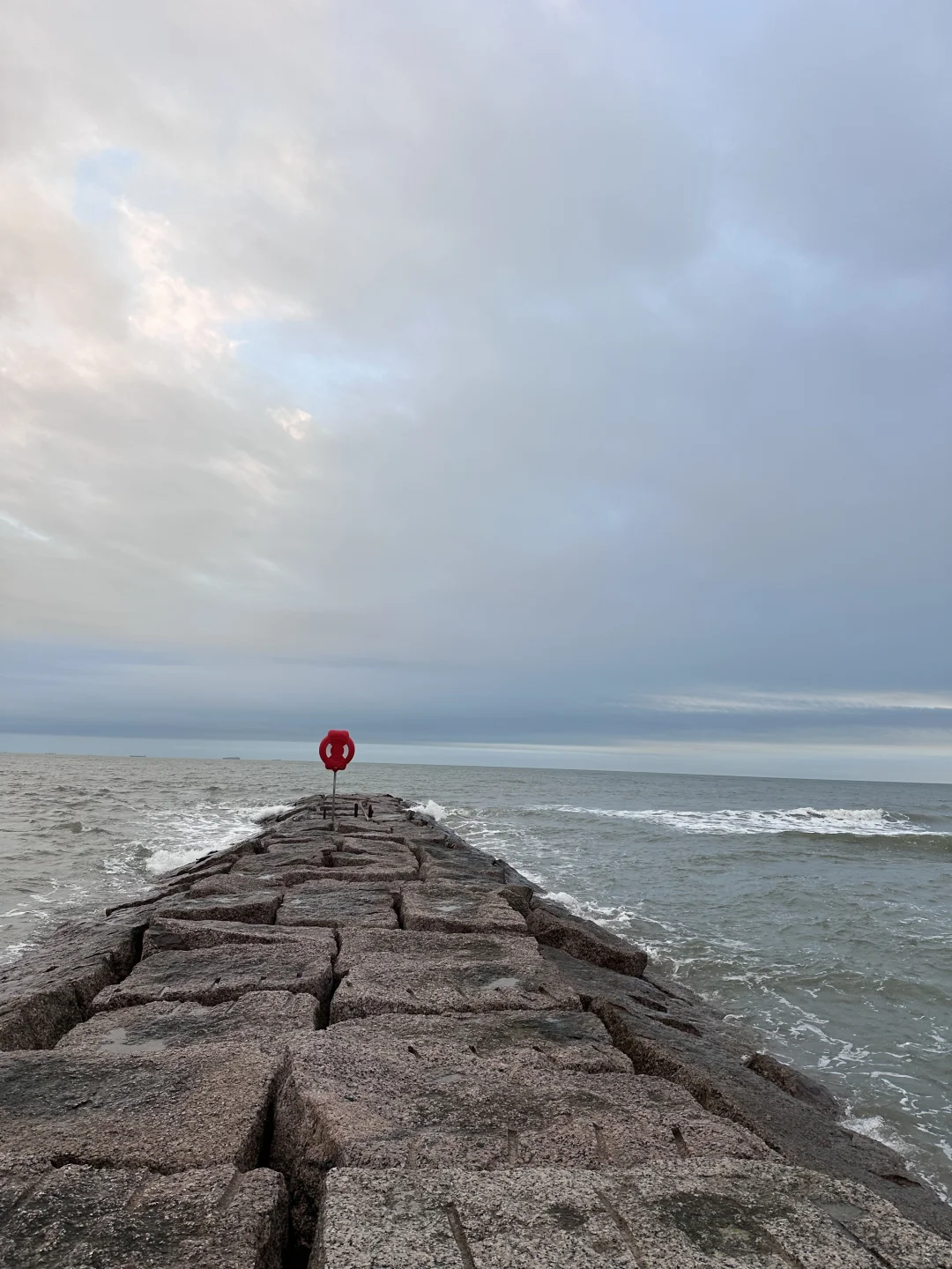 【Houston】A 3-Day, 2-Night Getaway: Exploring Exhibits🌍 & Seaside Escapes🌊