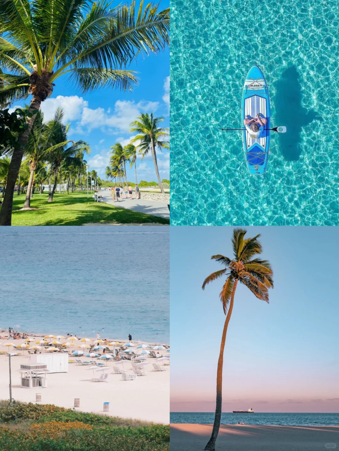 7 Days in Florida: Miami & Orlando Ultimate Guide 🔥