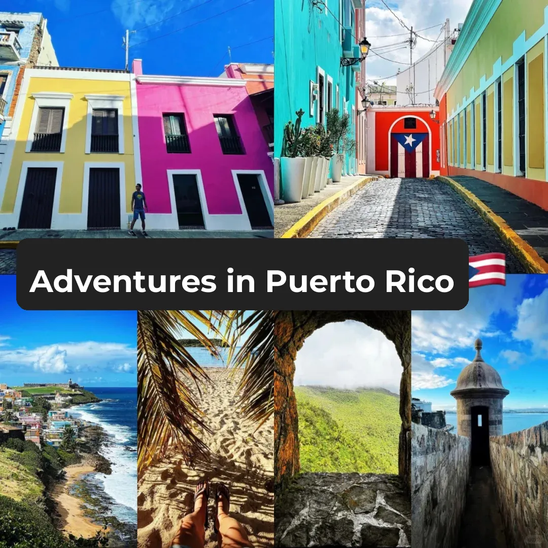 Puerto Rico Adventure (Part 1): Exploring the Rainforest in a Van 🚚