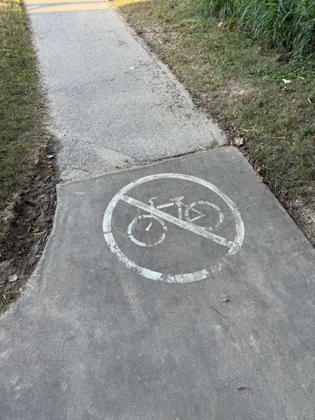 One-Day Houston Sightseeing Tour