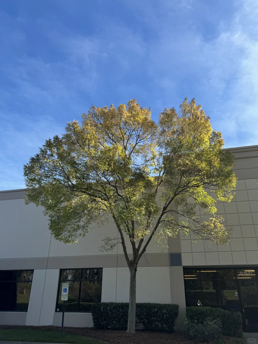 "Must-Visit Spots in Charlotte, North Carolina"